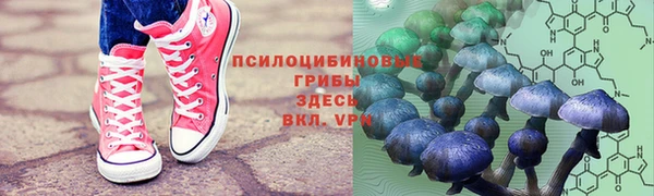 скорость Абаза