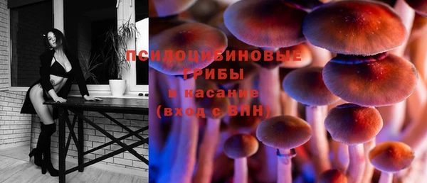 спайс Абдулино