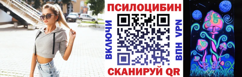 Псилоцибиновые грибы Psilocybe  Шлиссельбург 